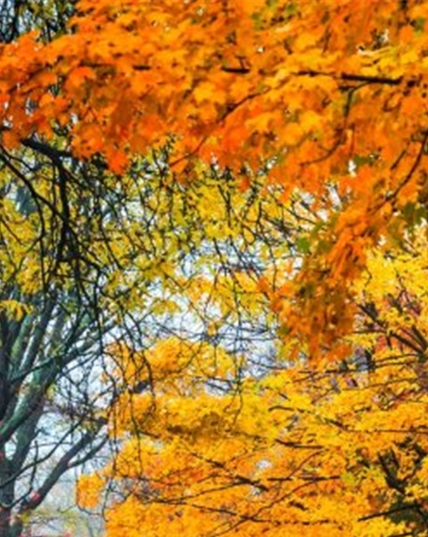 怎样获得粉象生活积分