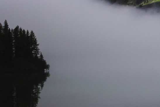 粉象生活怎样招粉丝