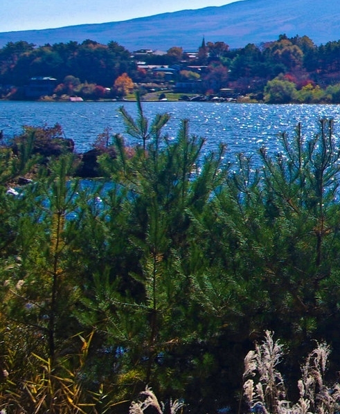 注册了粉象怎么注销