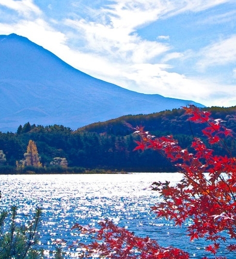 粉象生活怎么推广引流加粉丝