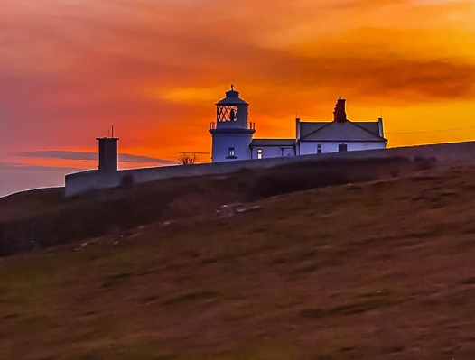 粉象生活是正规平台吗