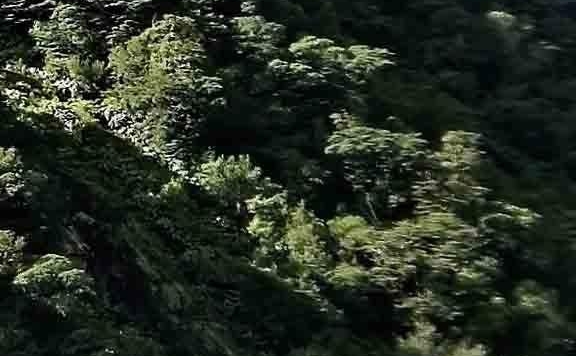 粉象生活和高省哪个更好