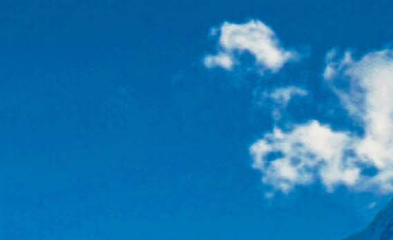 粉象生活返利商家