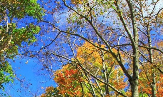 粉象生活怎么看谁买的