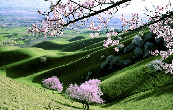 做粉象生活犯罪不