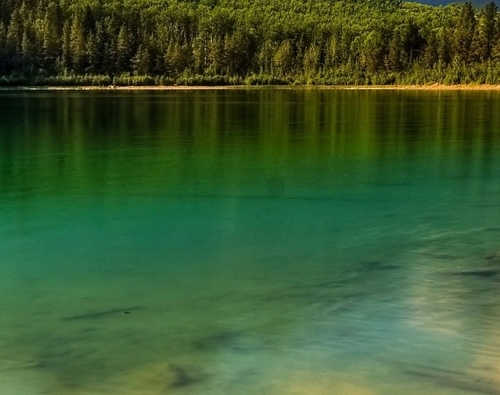 粉象生活怎么赚钱