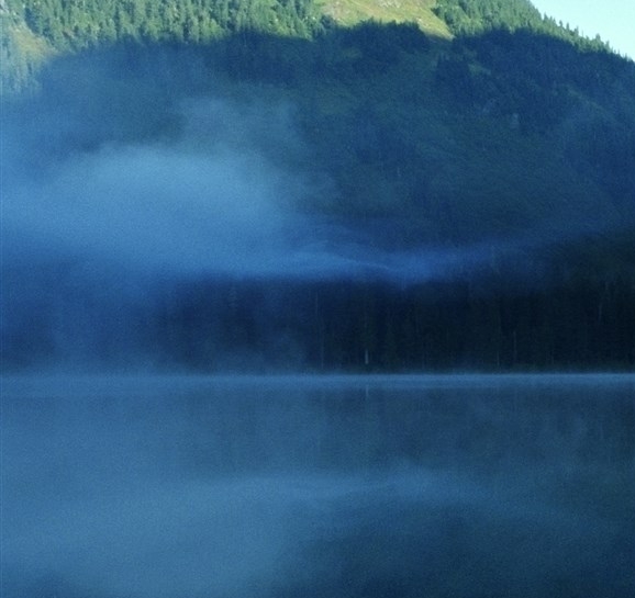 粉象生活下载app