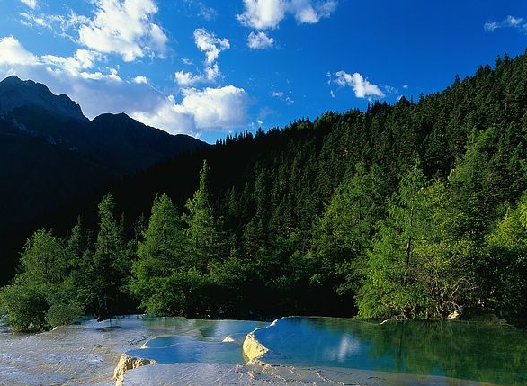 粉象生活是什么