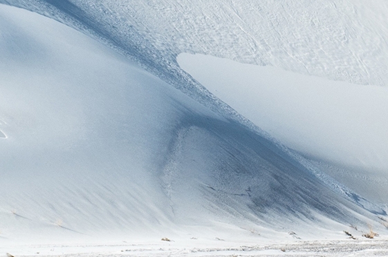 粉象生活能赚到钱吗