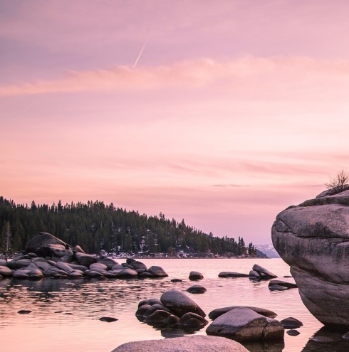 粉象生活 李红星