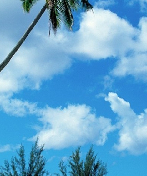 临沧生活圈下载