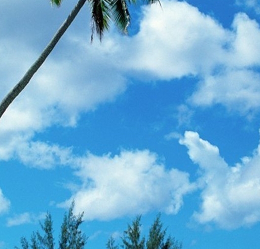 苹果应用商店正版下载