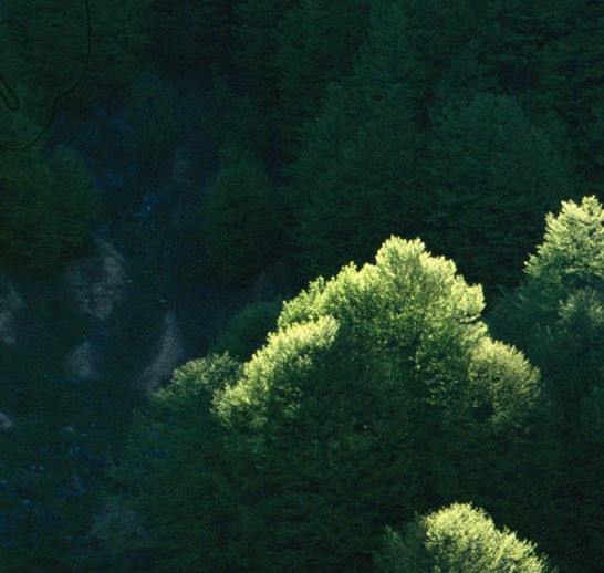 除了葛根粉还有什么粉可以调节内分泌