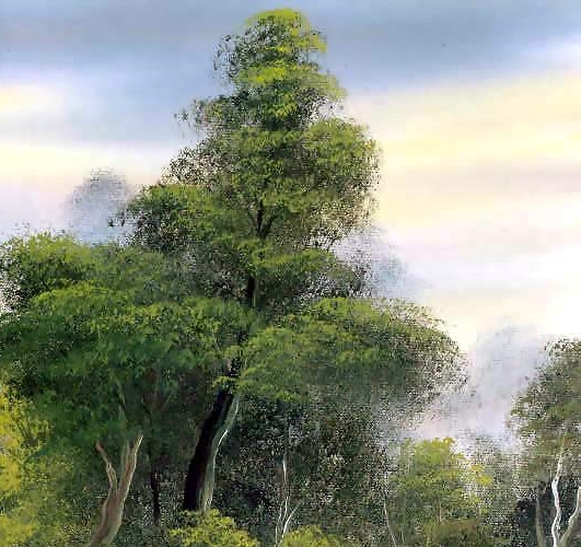 京东粉象生活是什么平台