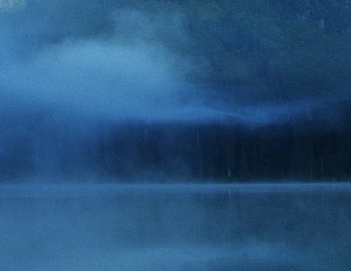 粉象生活招募信息怎么发