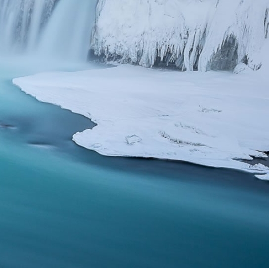 粉象生活收费吗