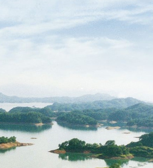 粉象生活 山寨