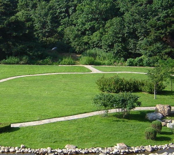 粉象生活下载app