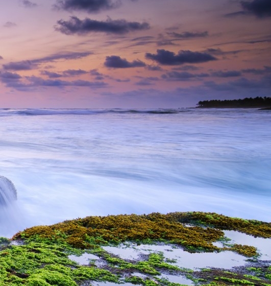 粉象生活能赚到钱吗