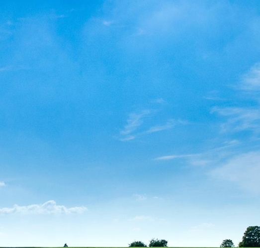 比利时浅粉象啤酒