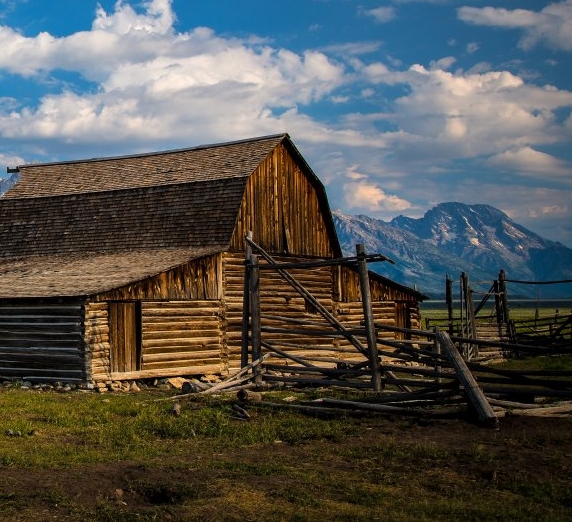 粉象生活开通后怎么领钱