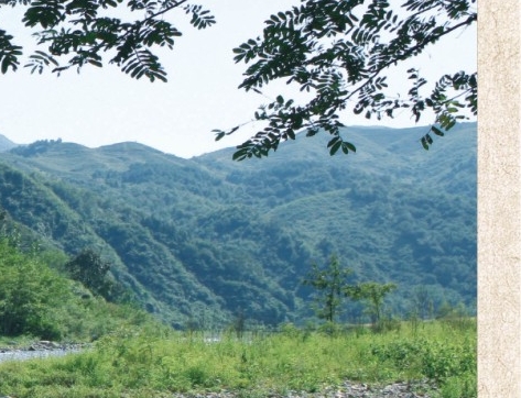 粉象生活怎么赚钱