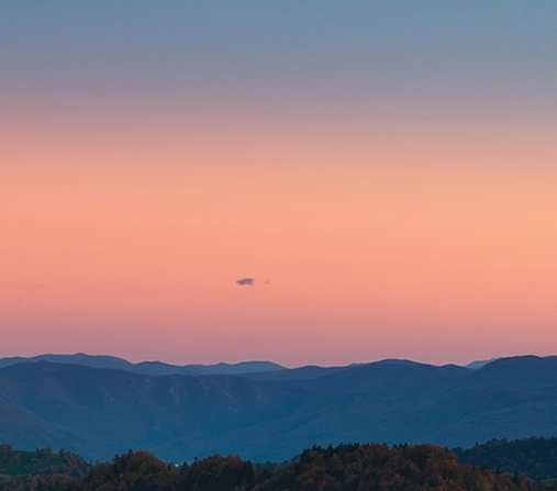 上海粉象生活赚钱