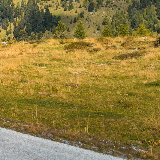 粉象生活怎么发文章赚钱