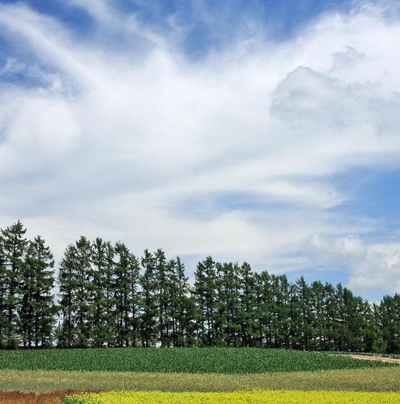 粉象生活里的东西是正品吗