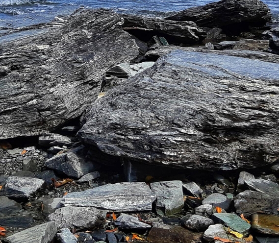 粉象生活粉丝怎么增加