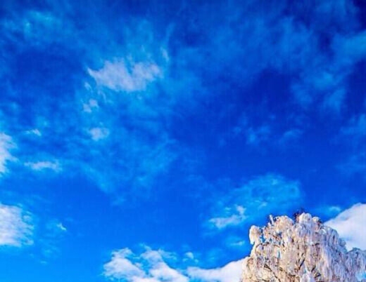 粉象生活加油文案