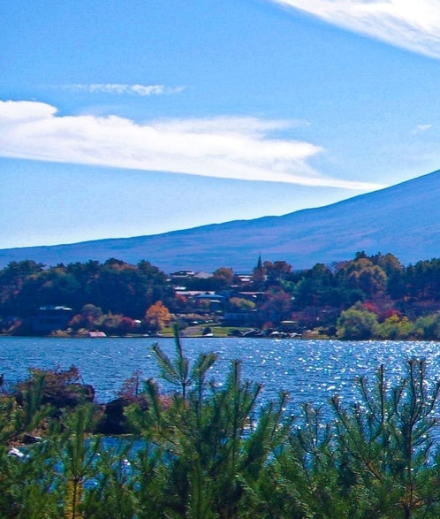 浙江品质粉象生活好不好