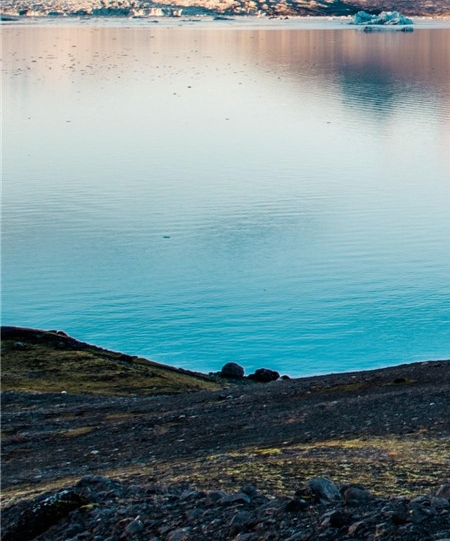 粉象生活怎么赚钱