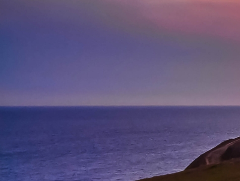 关于粉象生活app