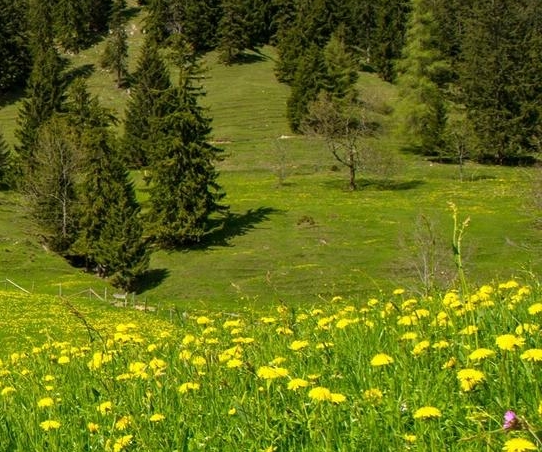 粉象生活怎么赚钱的
