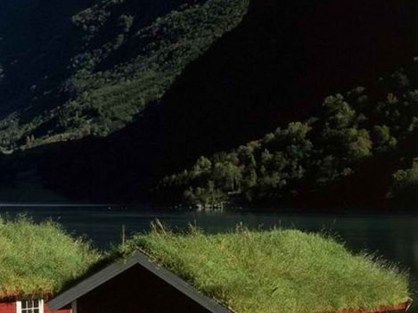 粉象生活粉丝怎么增加