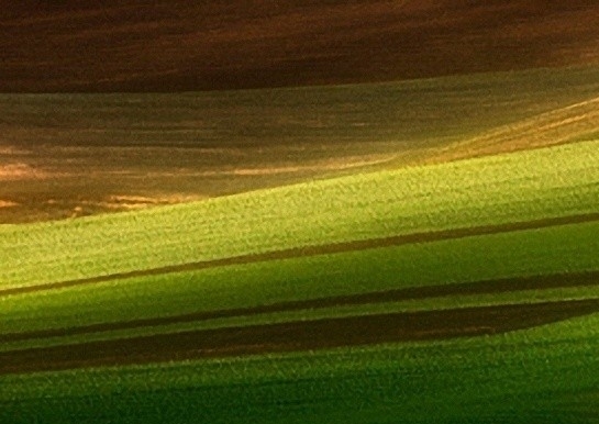 闲鱼怎么卖粉象生活