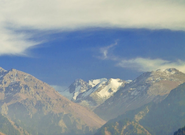 粉象生活vip怎么获得