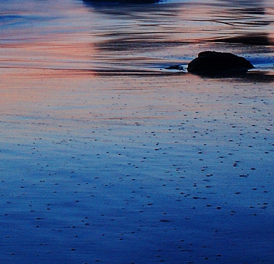 粉象生活赚钱教程