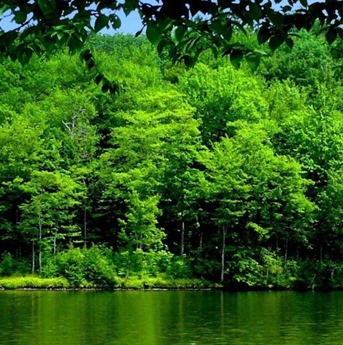 粉象生活下载app