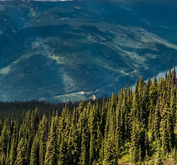 京东锁粉怎么解除