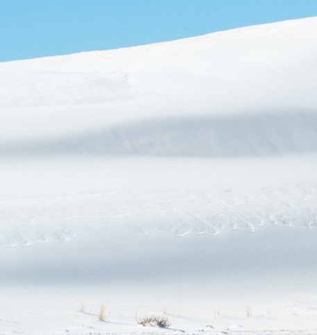 珠海粉象生活收入