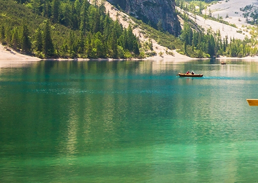 粉象生活真实收入