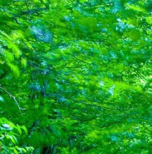 粉象生活拉一个人赚多少钱