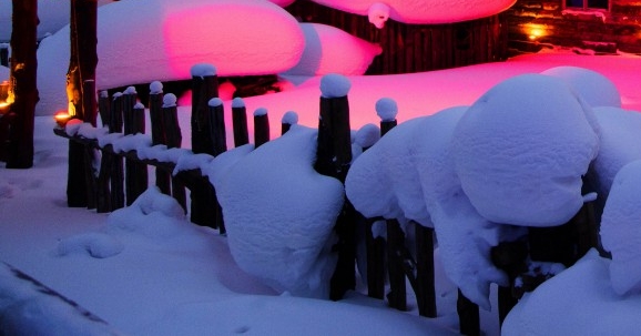 粉象生活如何找到邀请码