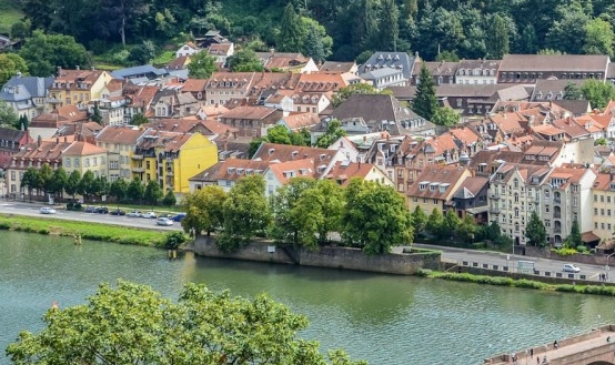 粉象生活下载app