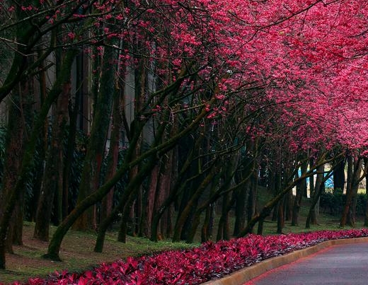 粉象生活真的可以省钱吗