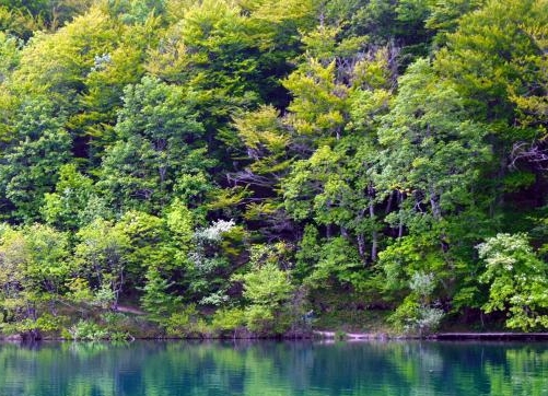 粉象生活邀请码填谁的,谁就可以赚钱吗