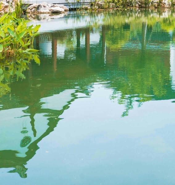 粉象生活等级和佣金