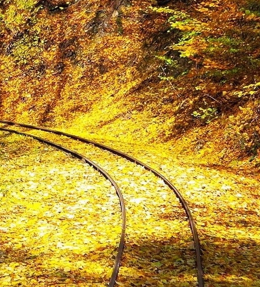 粉象生活合法吗